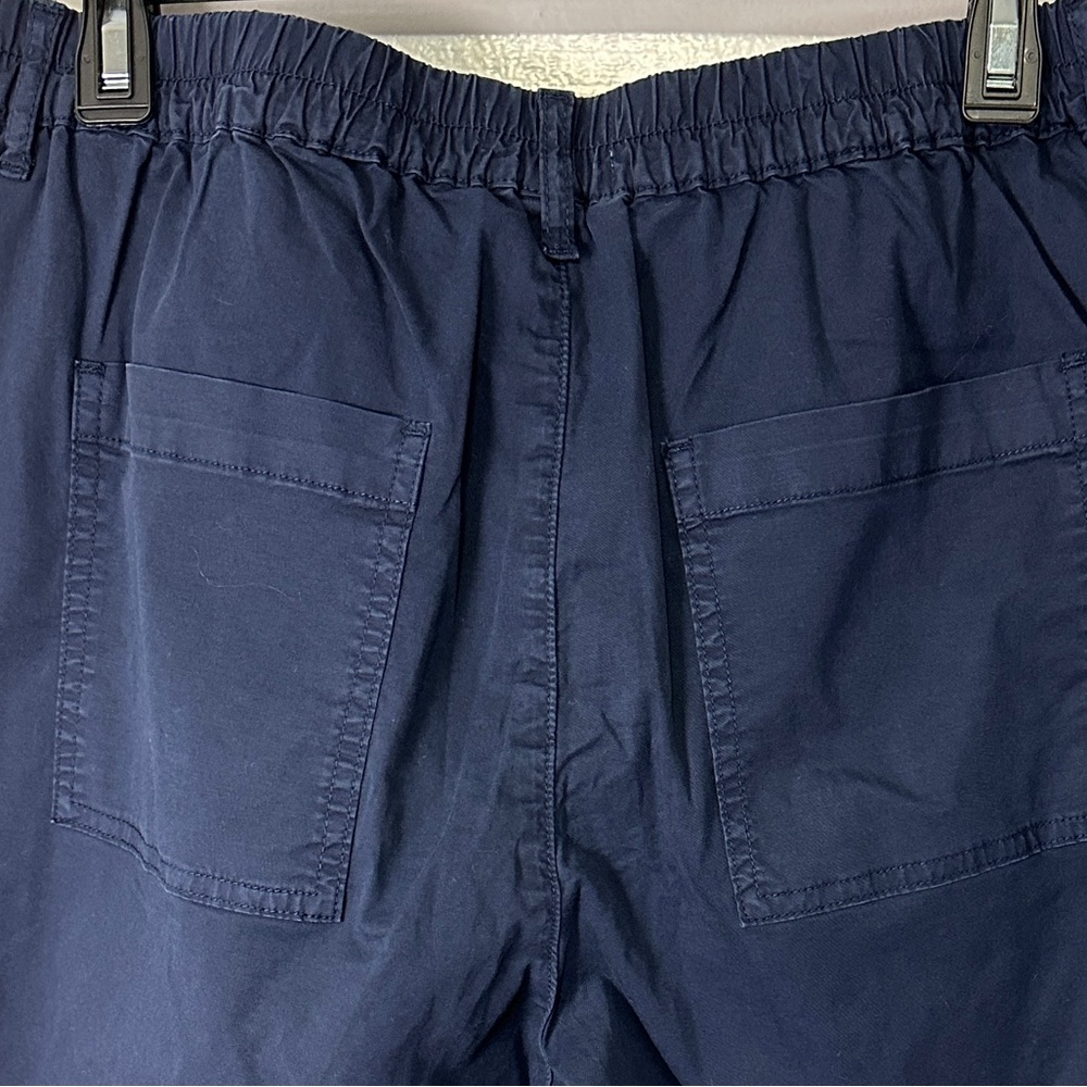 Pistola Estelle Mid Rise Washed Navy Cropped Pleated Trouser Women’s 29 NEW - Picture 3 of 10